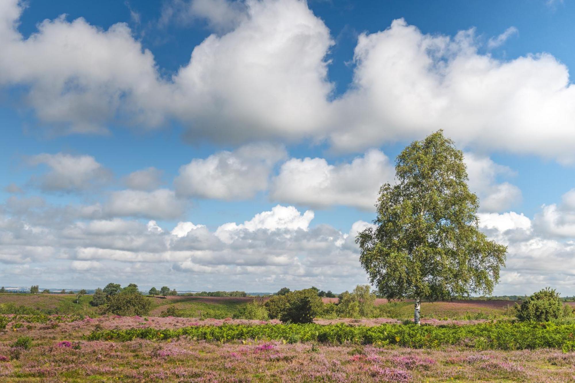 Burley Manor Hotell Eksteriør bilde